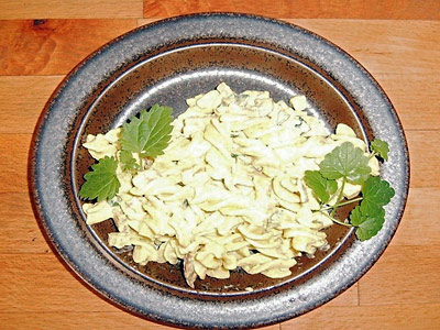 Curry-Nudelsalat