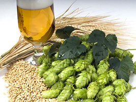 Bier und Bierbrauen